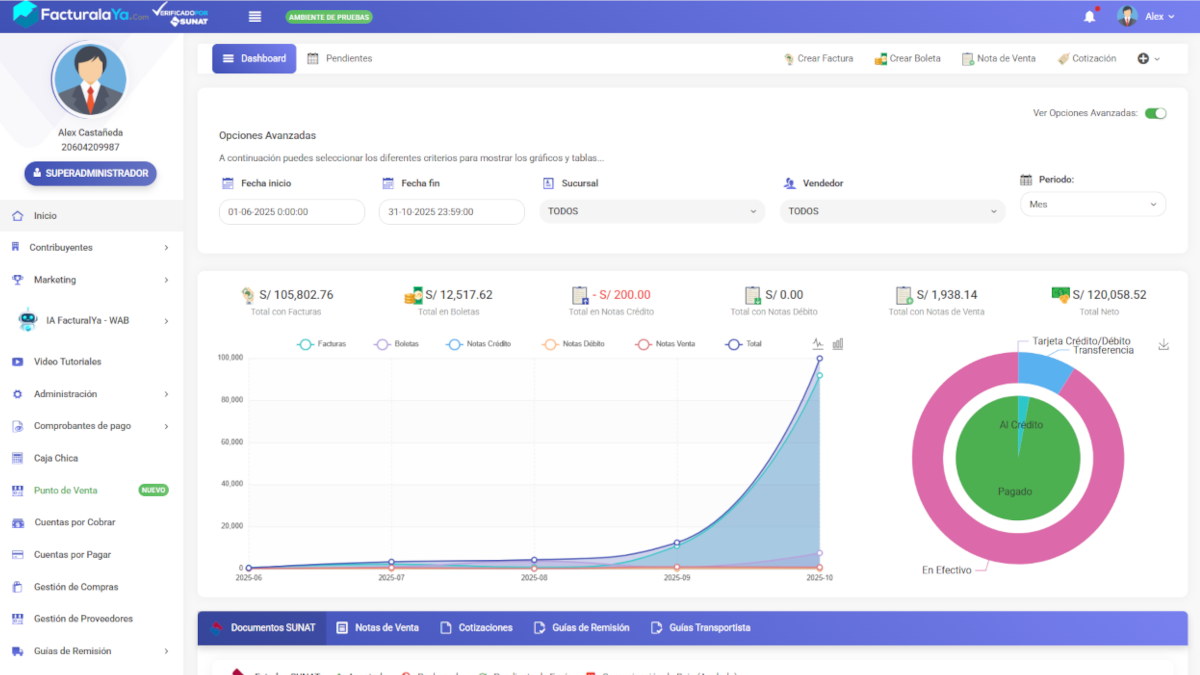 Dashboard principal FacturalaYa V9 — KPIs, gráficos de ventas, top clientes y productos